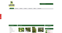 Desktop Screenshot of cakmakfidancilik.net