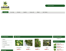 Tablet Screenshot of cakmakfidancilik.net